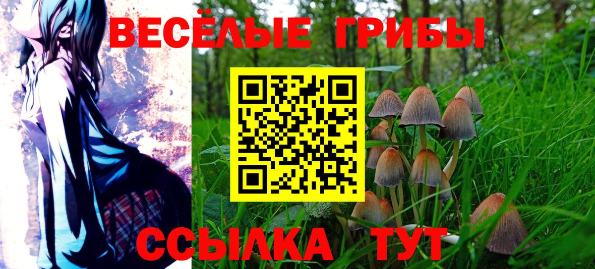 Галлюциногенные грибы GOLDEN TEACHER Пермь