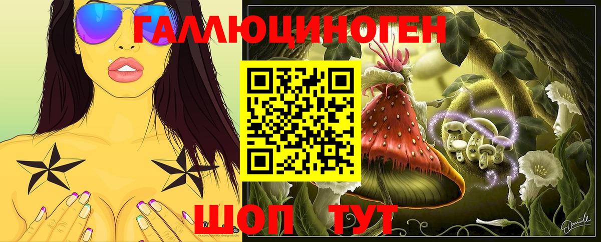 Пермь  Псилоцибиновые грибы MAGIC MUSHROOMS  Вход с VPN 